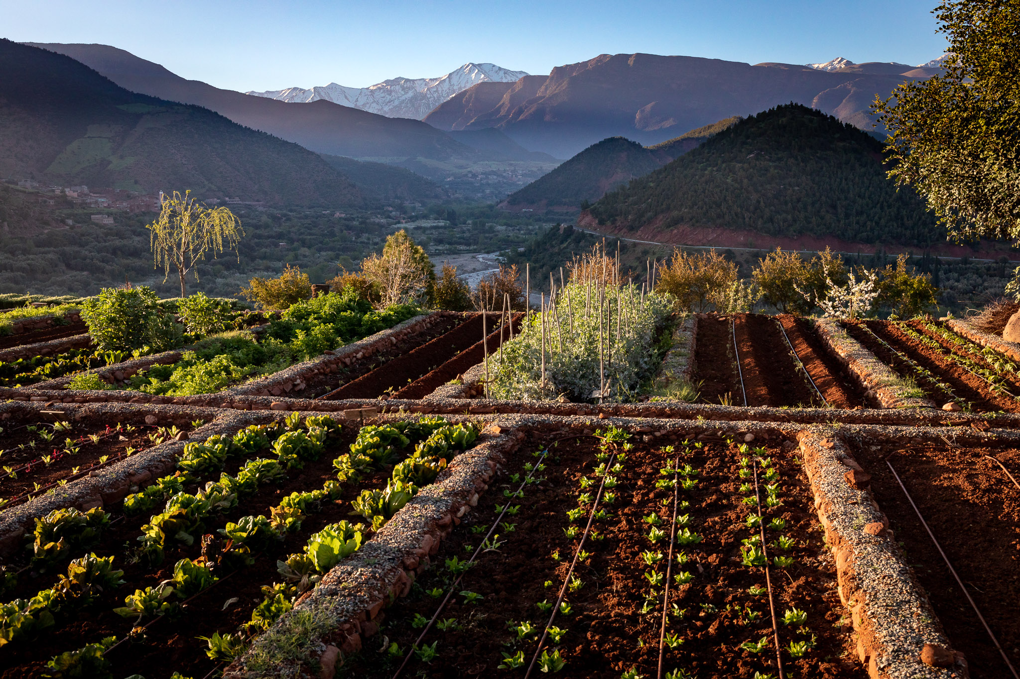 Early sun on High Atlas from Kasbah Bab Ourika garden