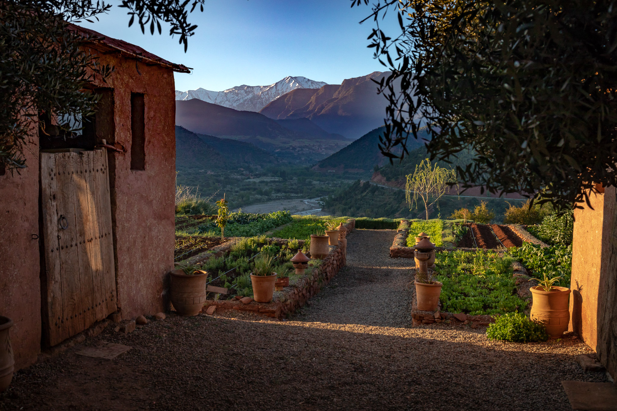 Early sun on High Atlas from Kasbah Bab Ourika garden