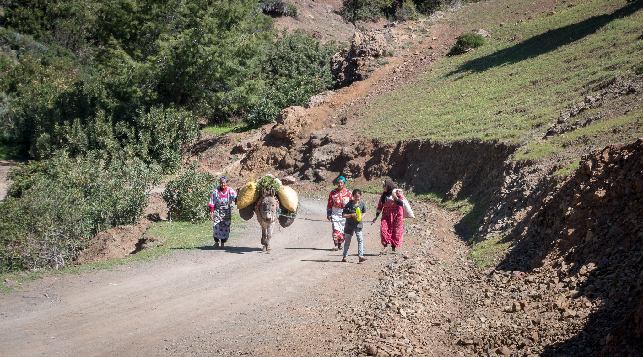 Ourika Valley hike