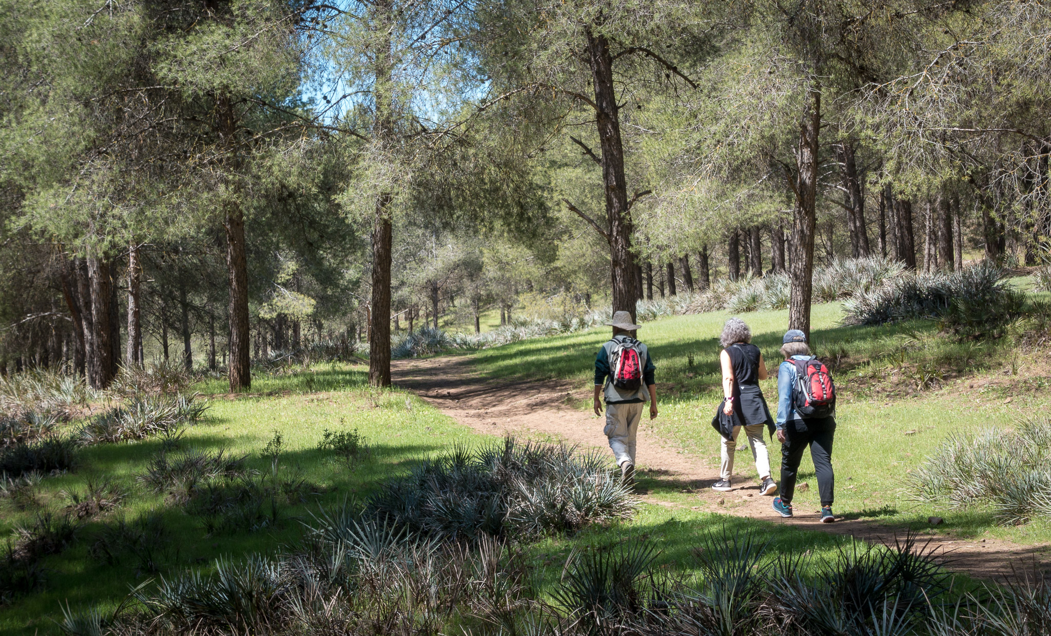 Ourika Valley hike