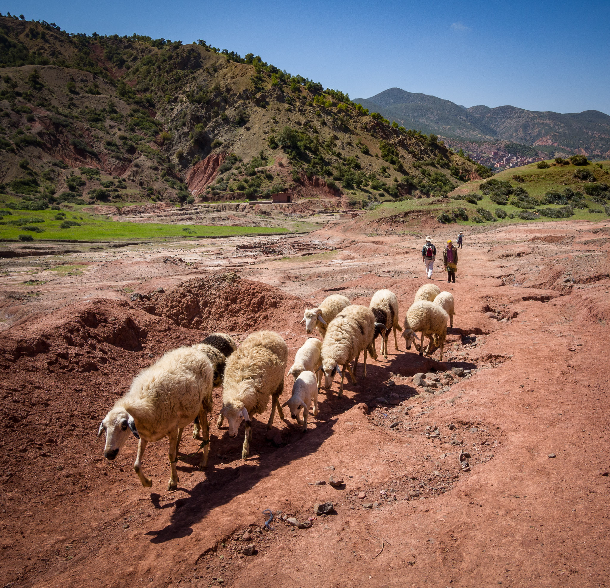 Ourika Valley hike