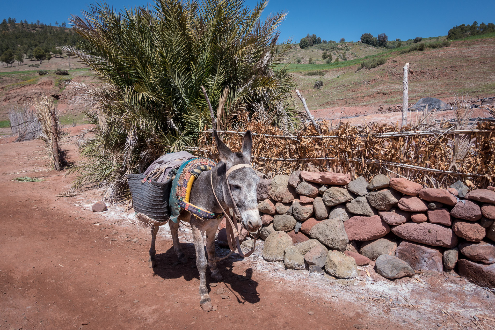 Ourika Valley hike