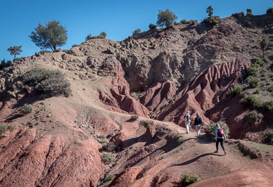 Ourika Valley hike