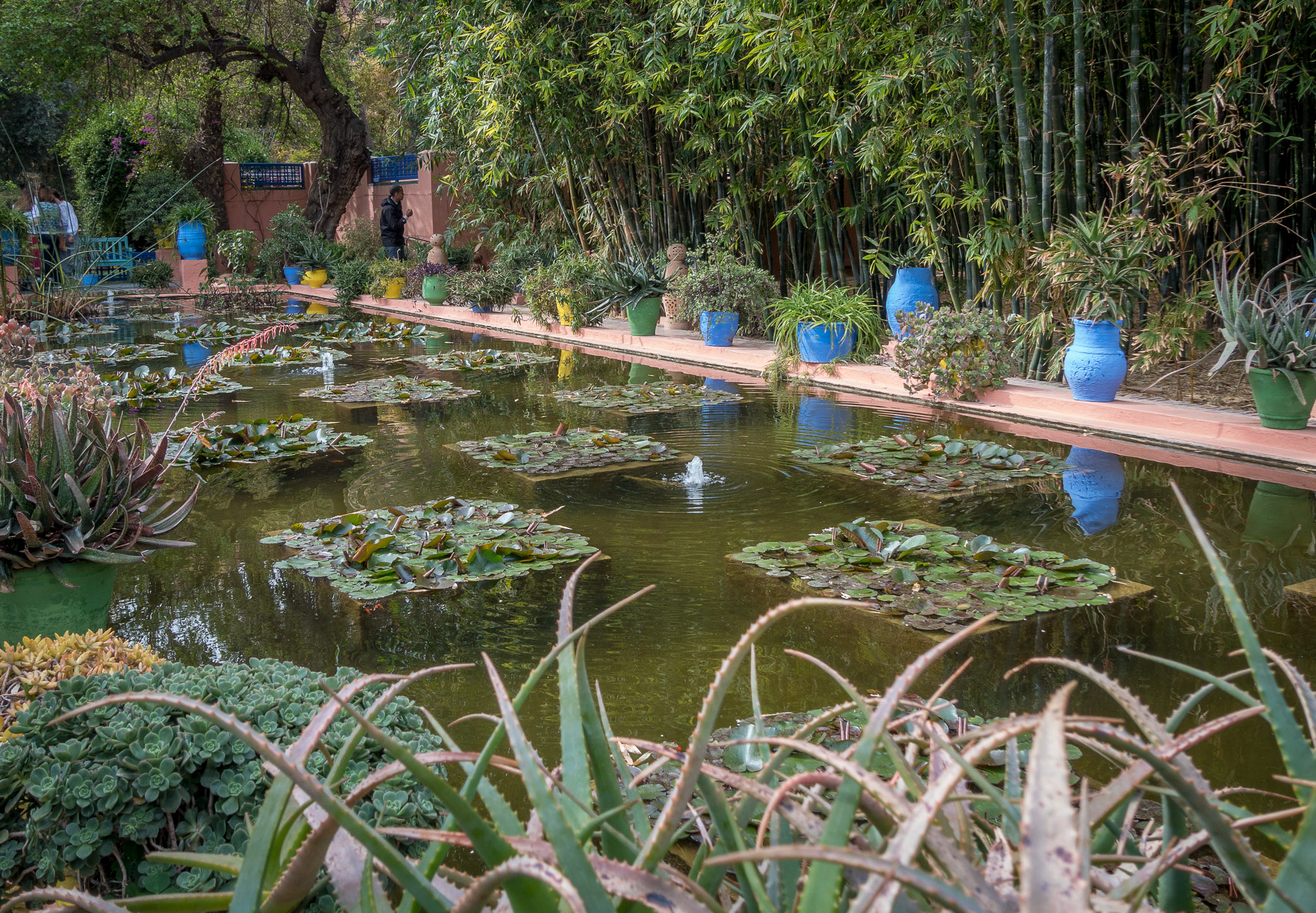 Jacques Majorelle's Gardens & residence