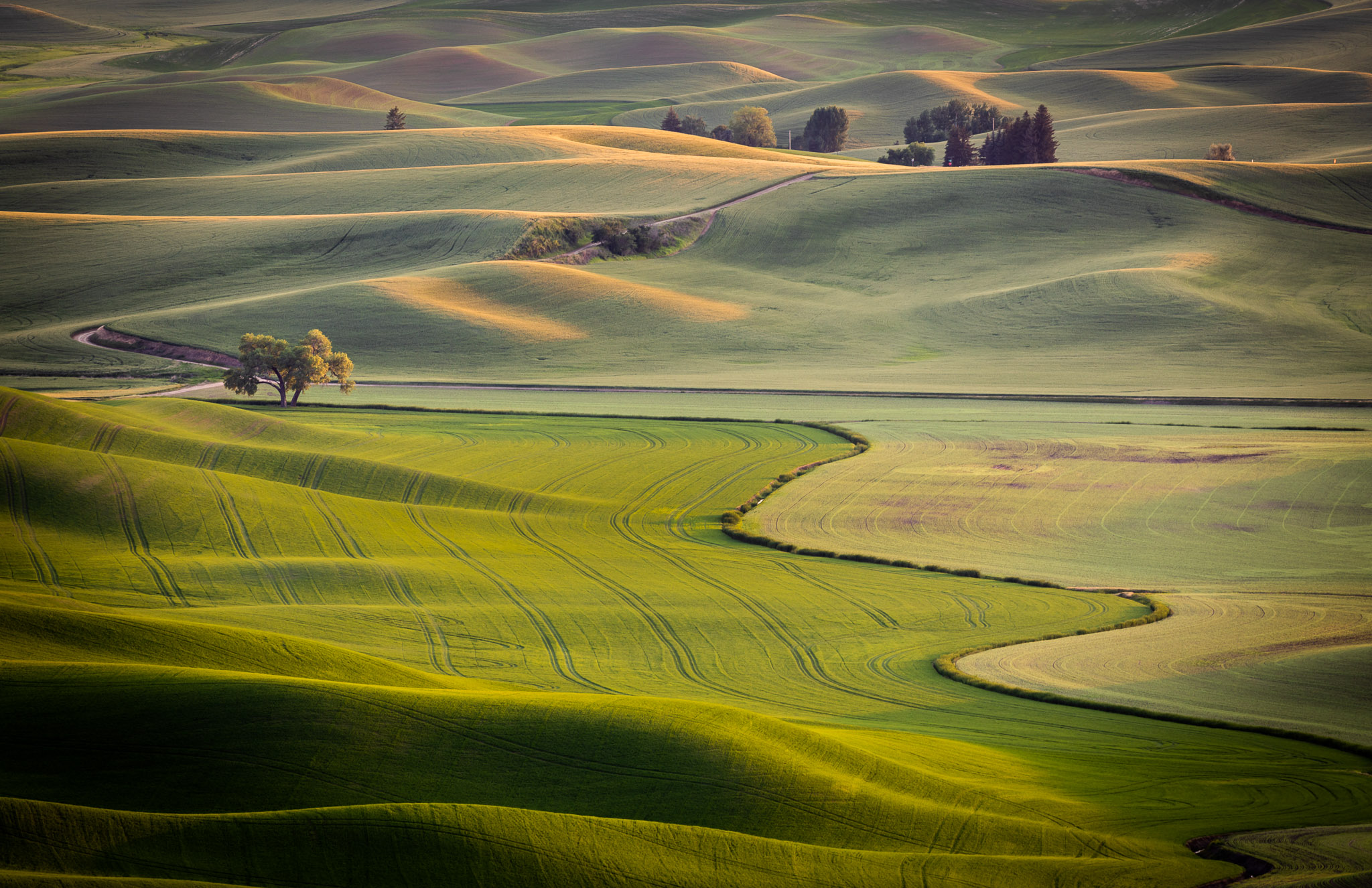 Steptoe Butte Late Light