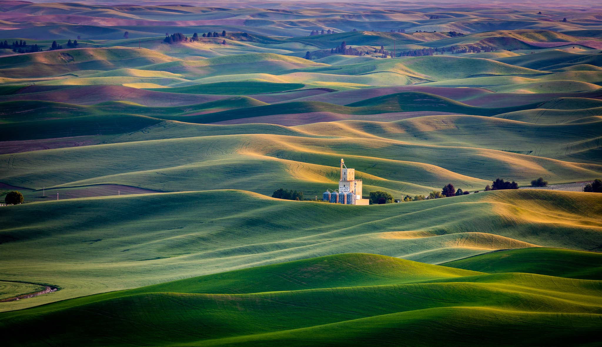 Steptoe Butte Late Light