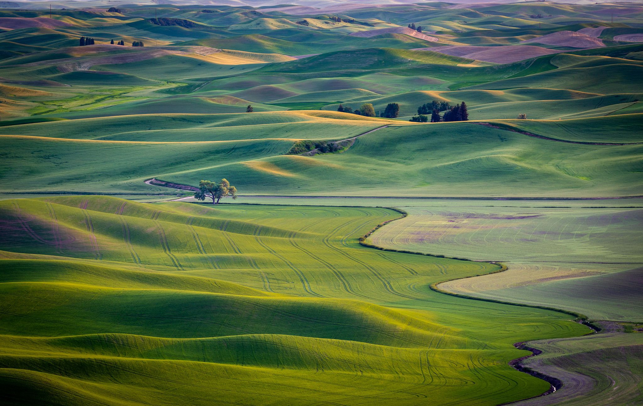 Steptoe Butte Late Light