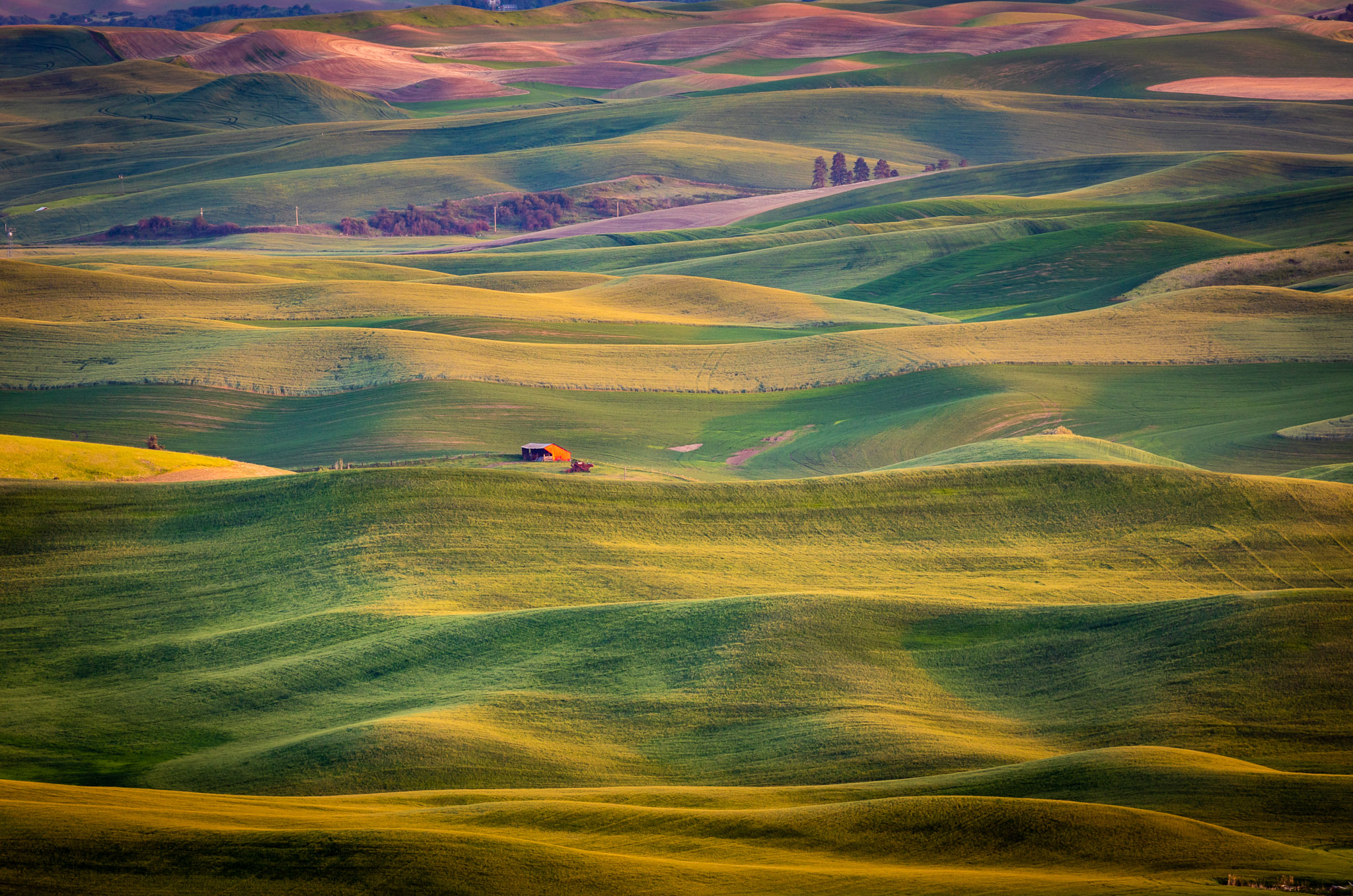 Steptoe Butte Late Light