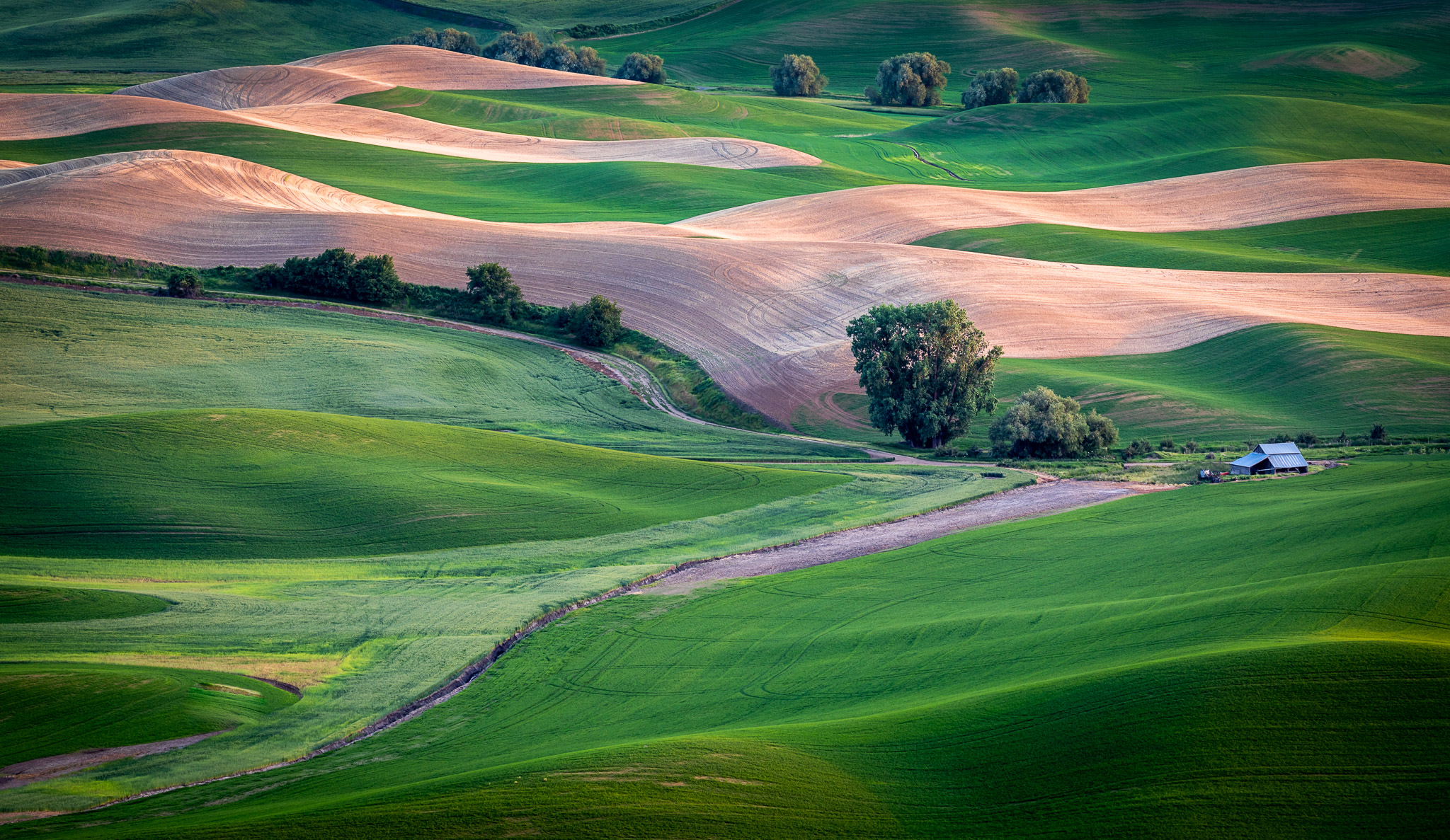 Steptoe Butte Late Light