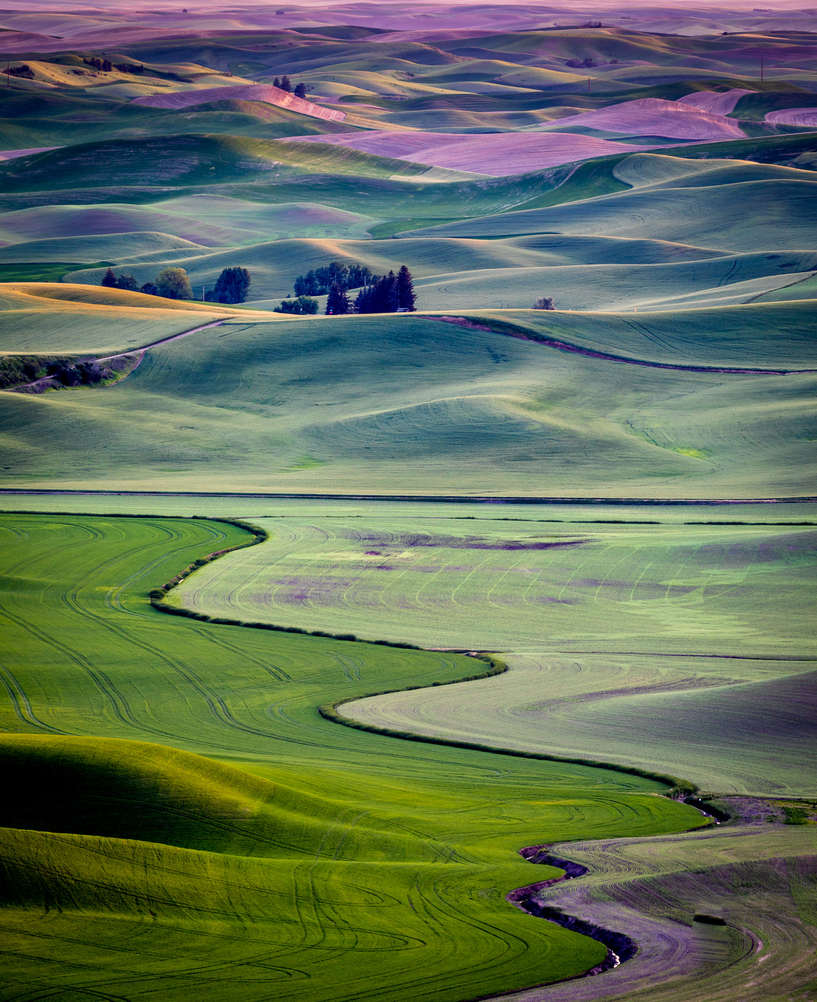 Steptoe Butte Late Light