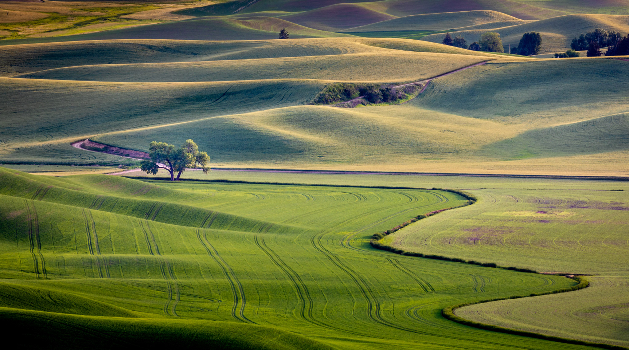 Steptoe Butte Late Light