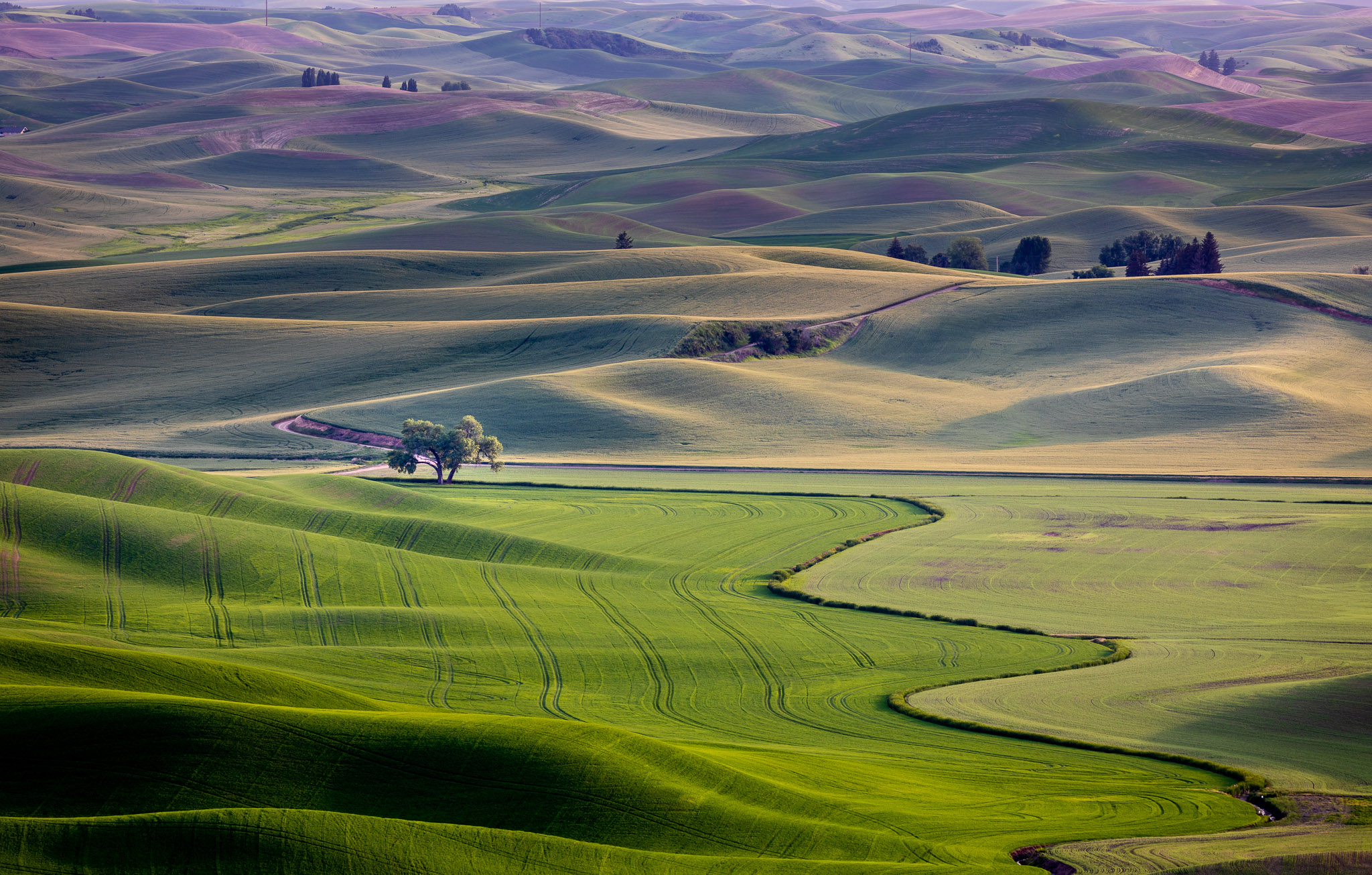 Steptoe Butte Late Light