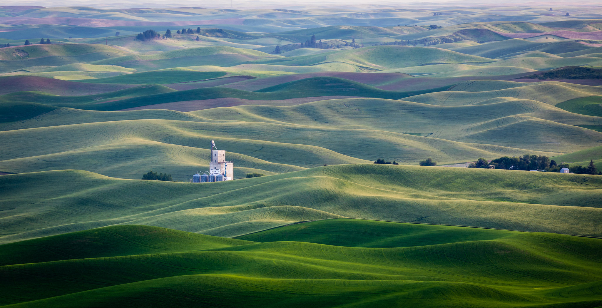 Steptoe Butte Late Light