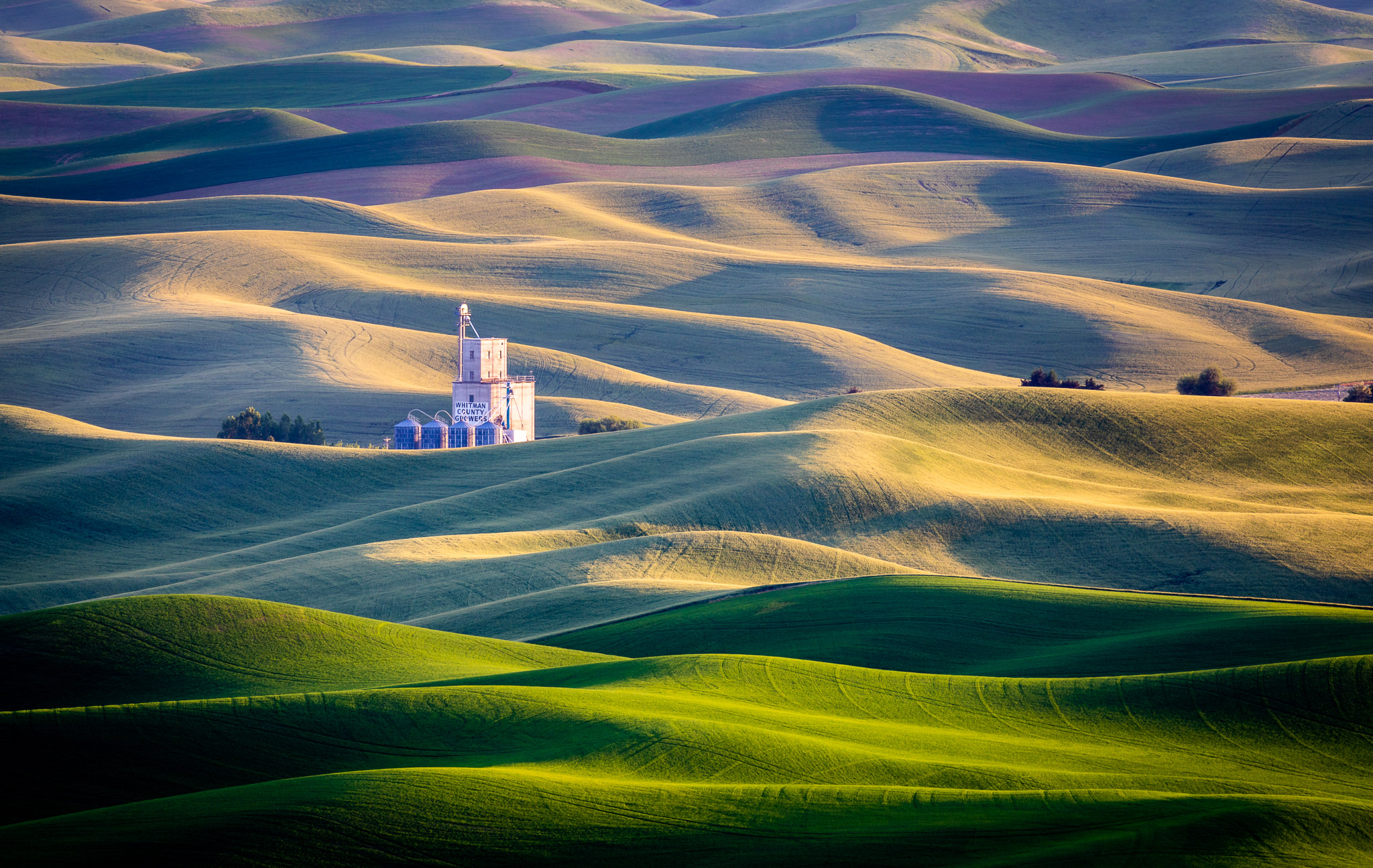 Steptoe Butte Late Light