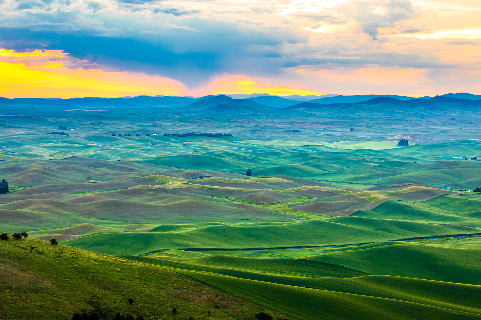 Steptoe Butte Morning