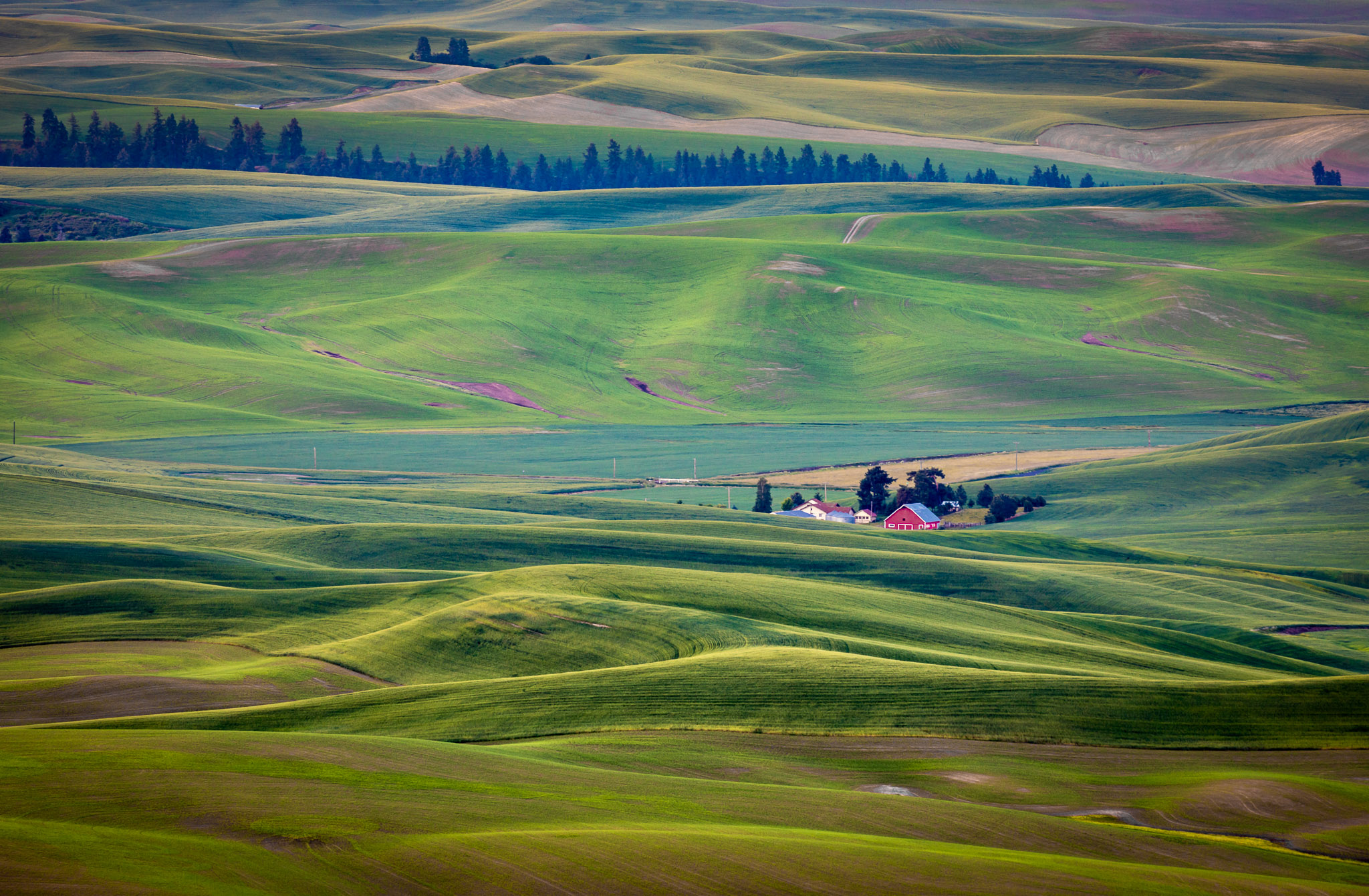 Steptoe Butte Morning