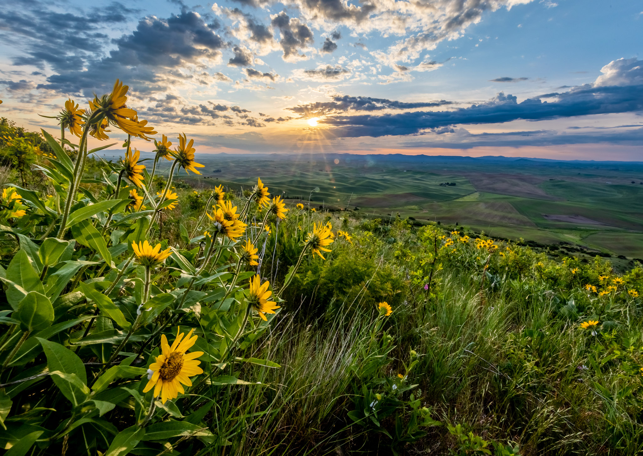 Steptoe Butte Morning