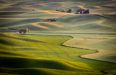 Steptoe Butte Late Light