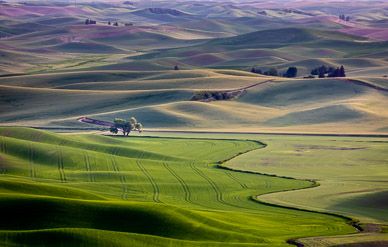 Steptoe Butte Late Light