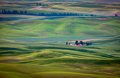 Steptoe Butte Morning