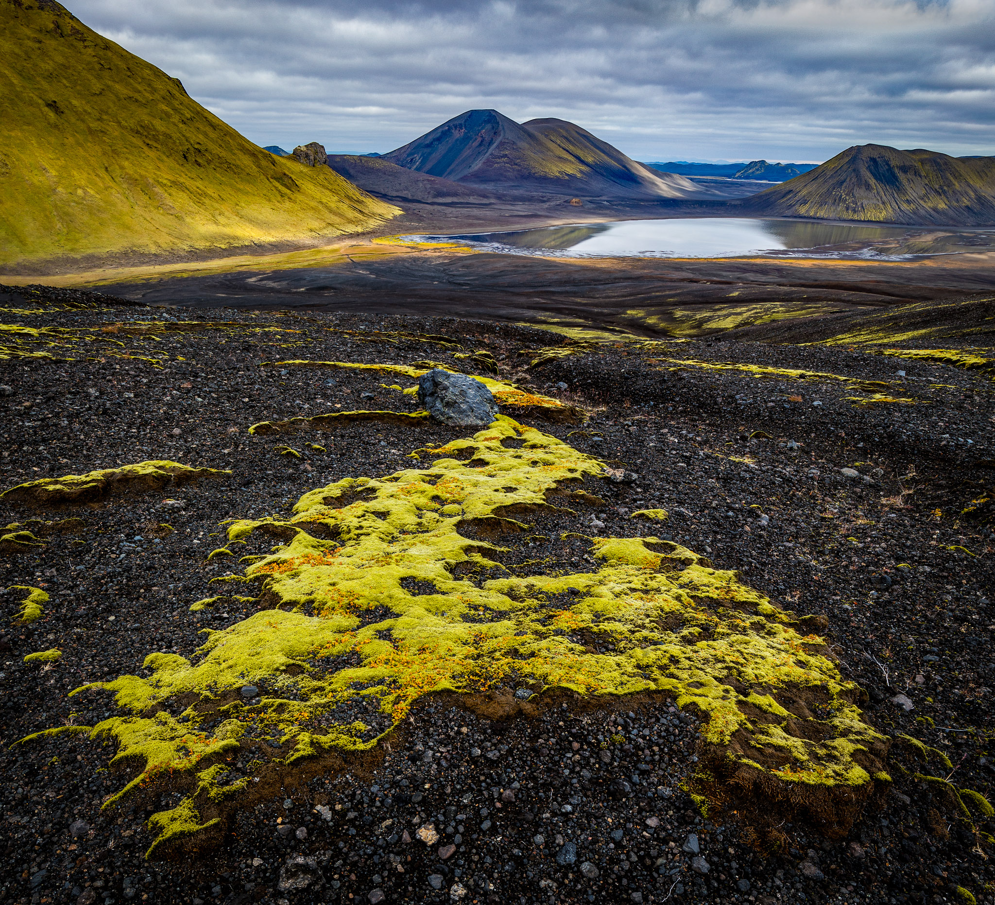 Highlands Moss