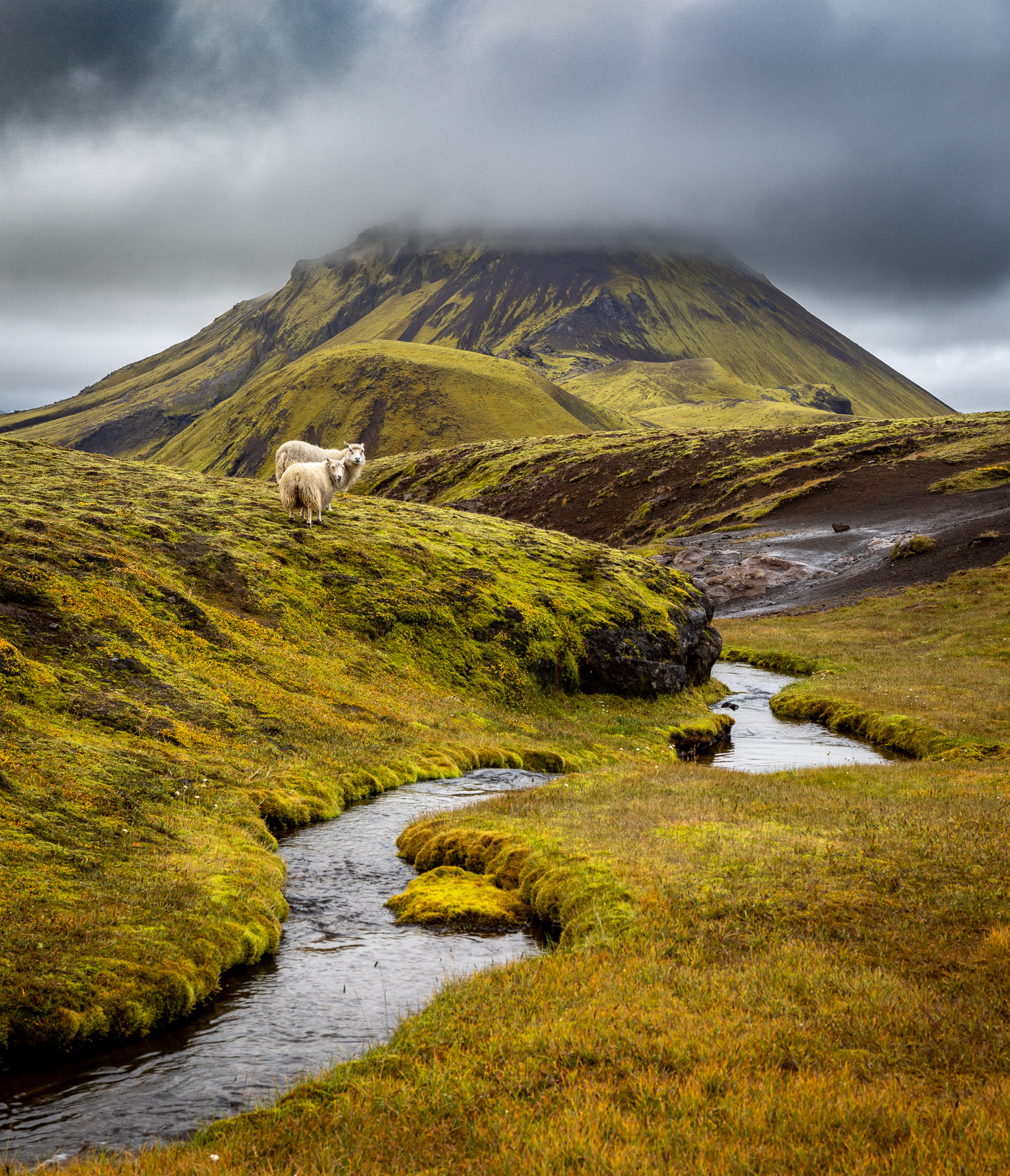 Útigönguhöfði View