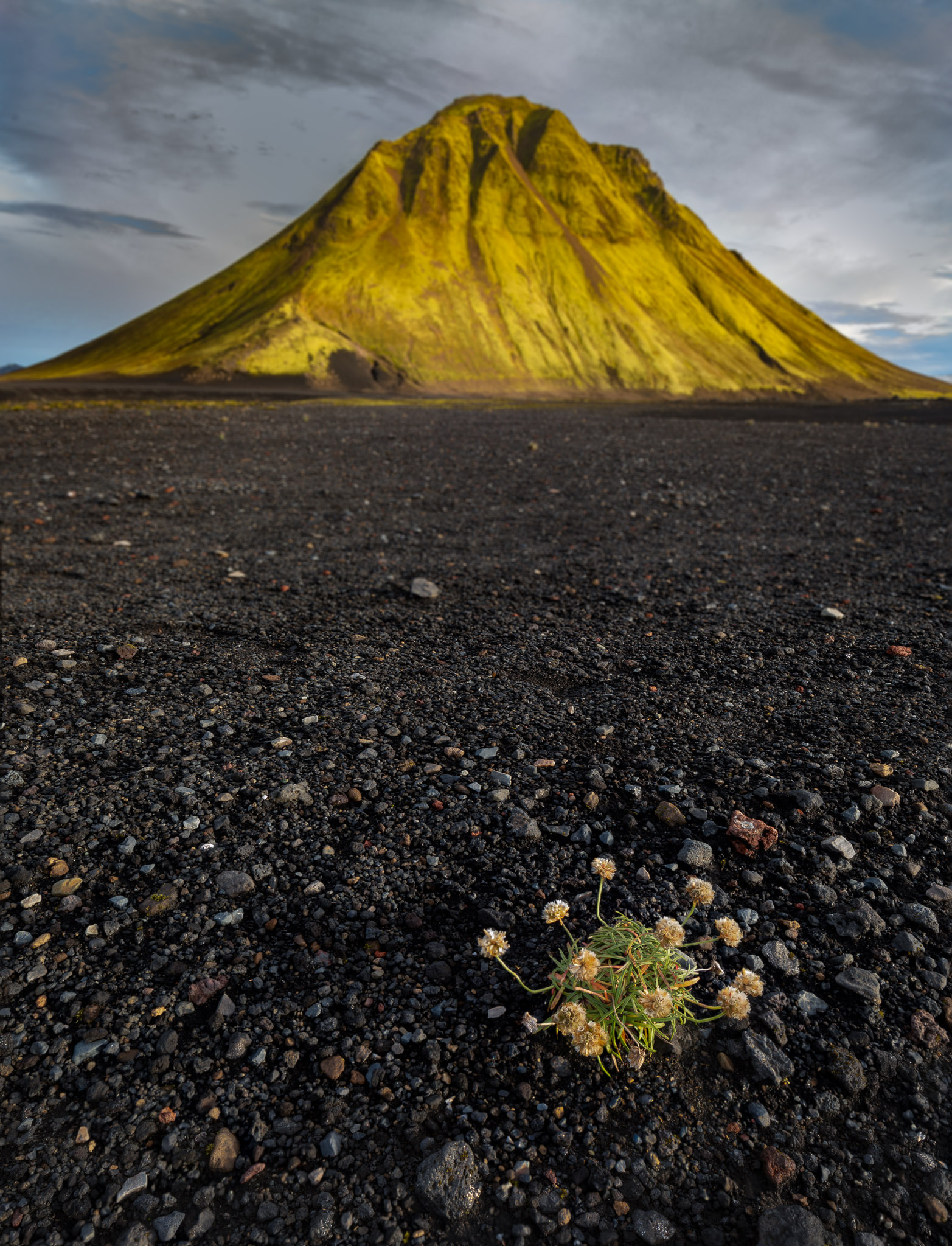 Sea Trift & Mælifell