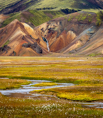 Landmannalaugar Meadow