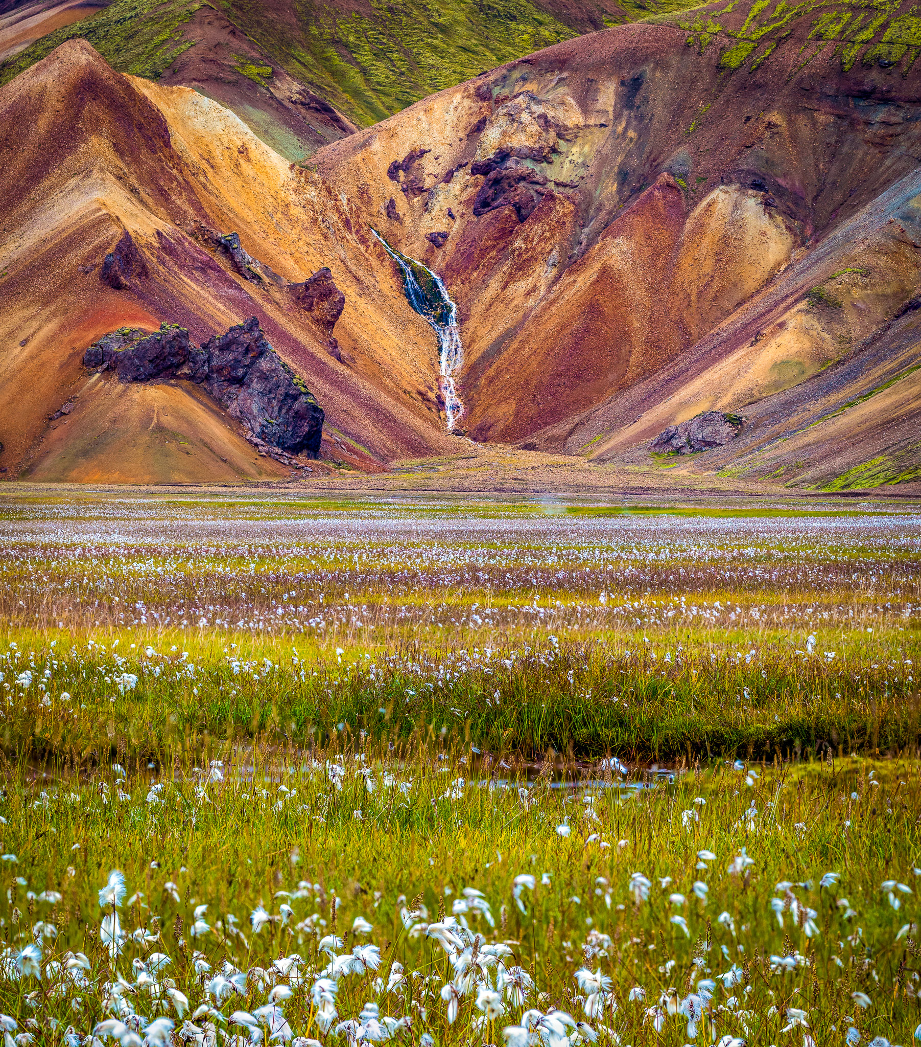 Landmannalaugar Meadow