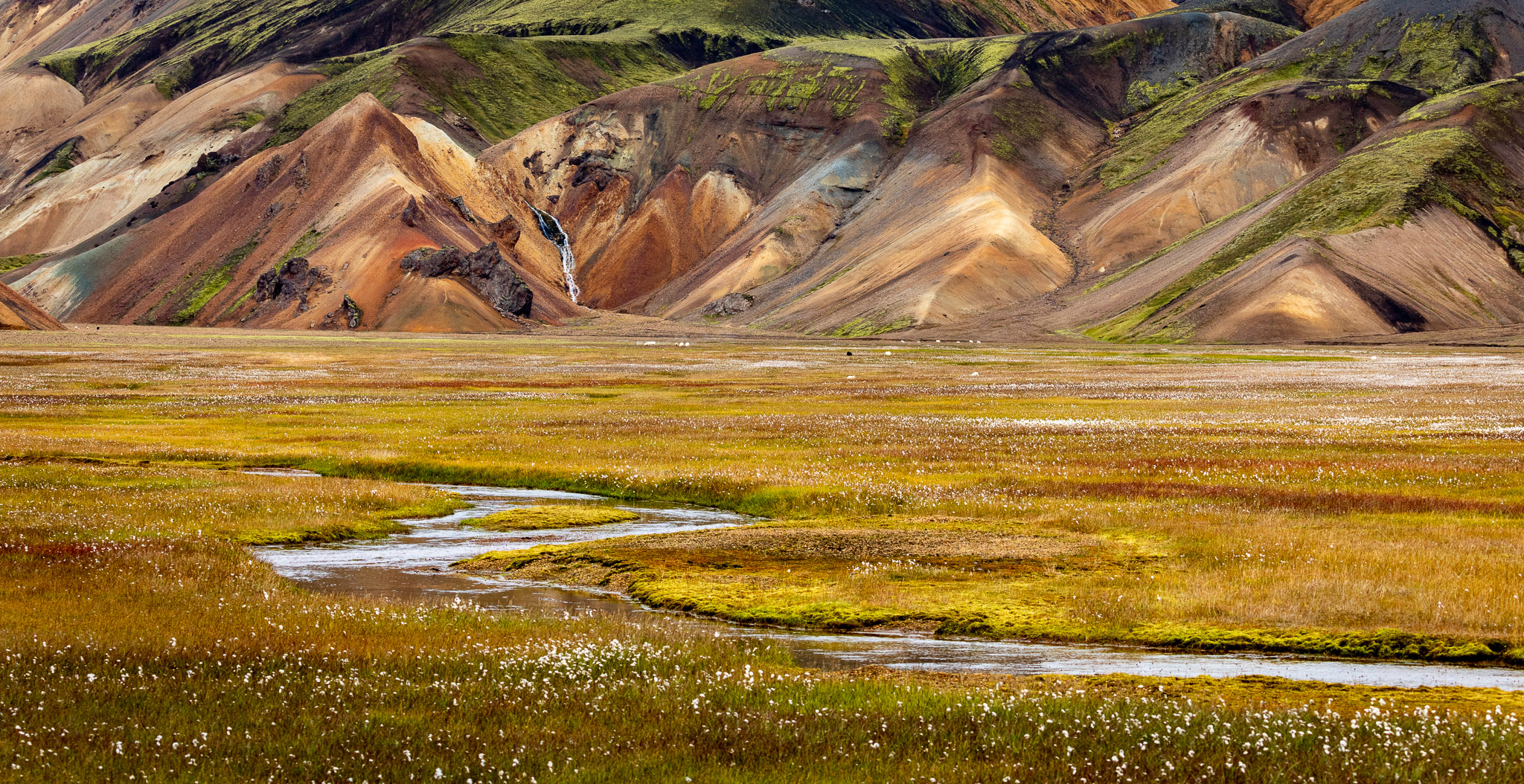 Landmannalaugar Meadow