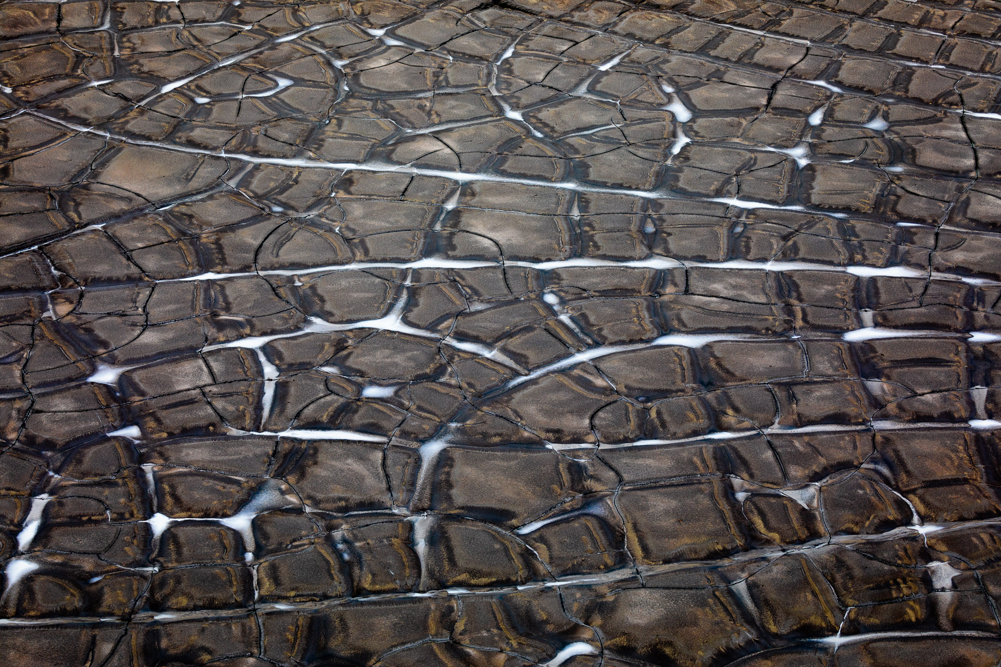 Cracked Mud at Sveinstindur Mountain Hut