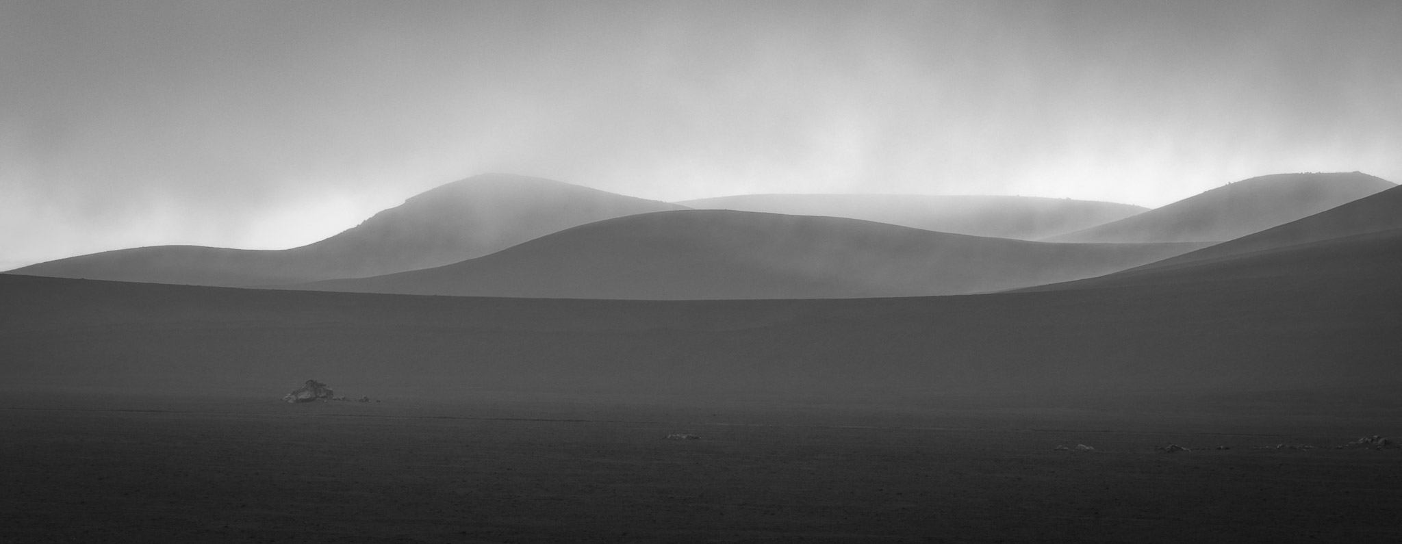 Strútur Black Desert