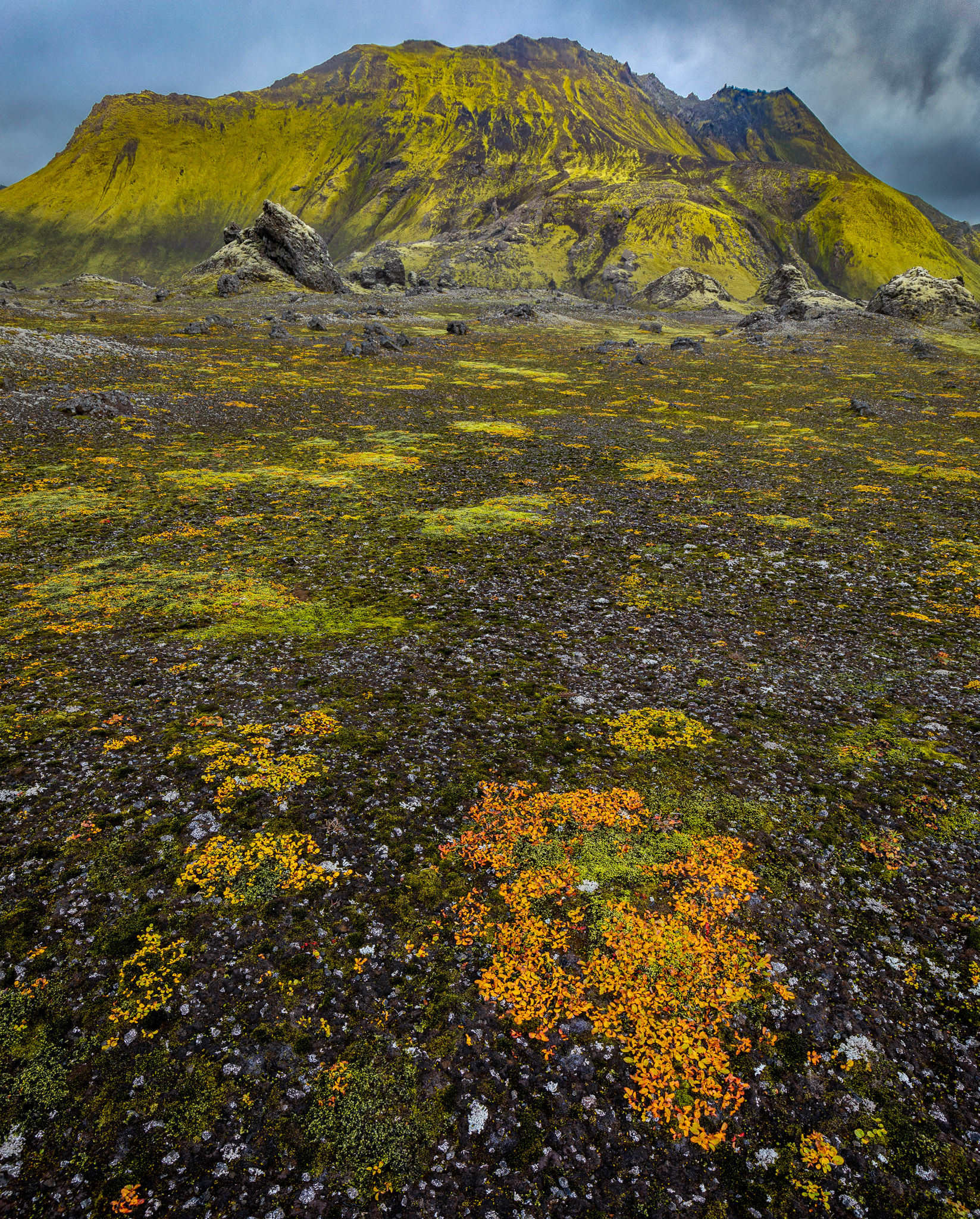 Highlands Ground "Cover"