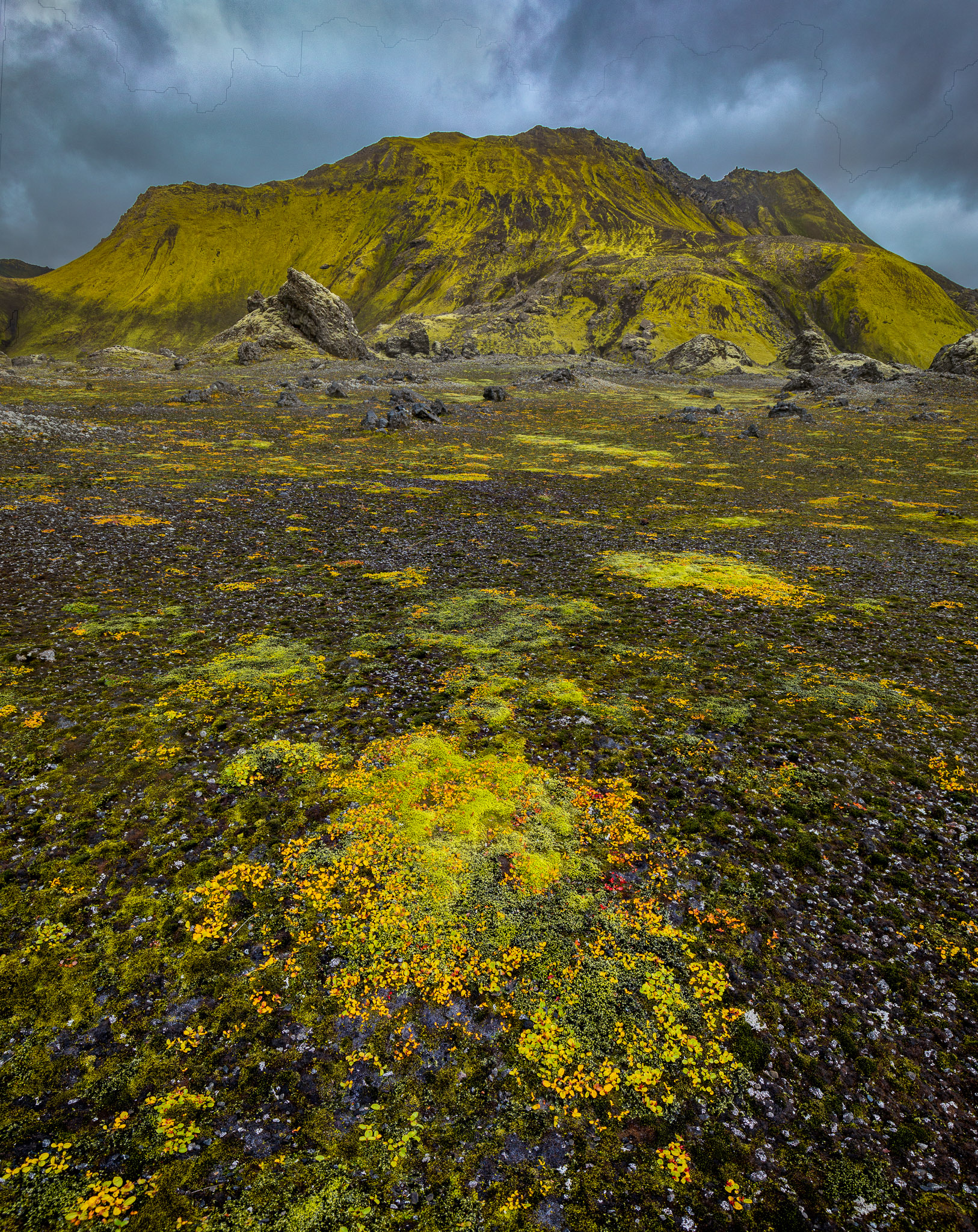 Highlands Ground "Cover"