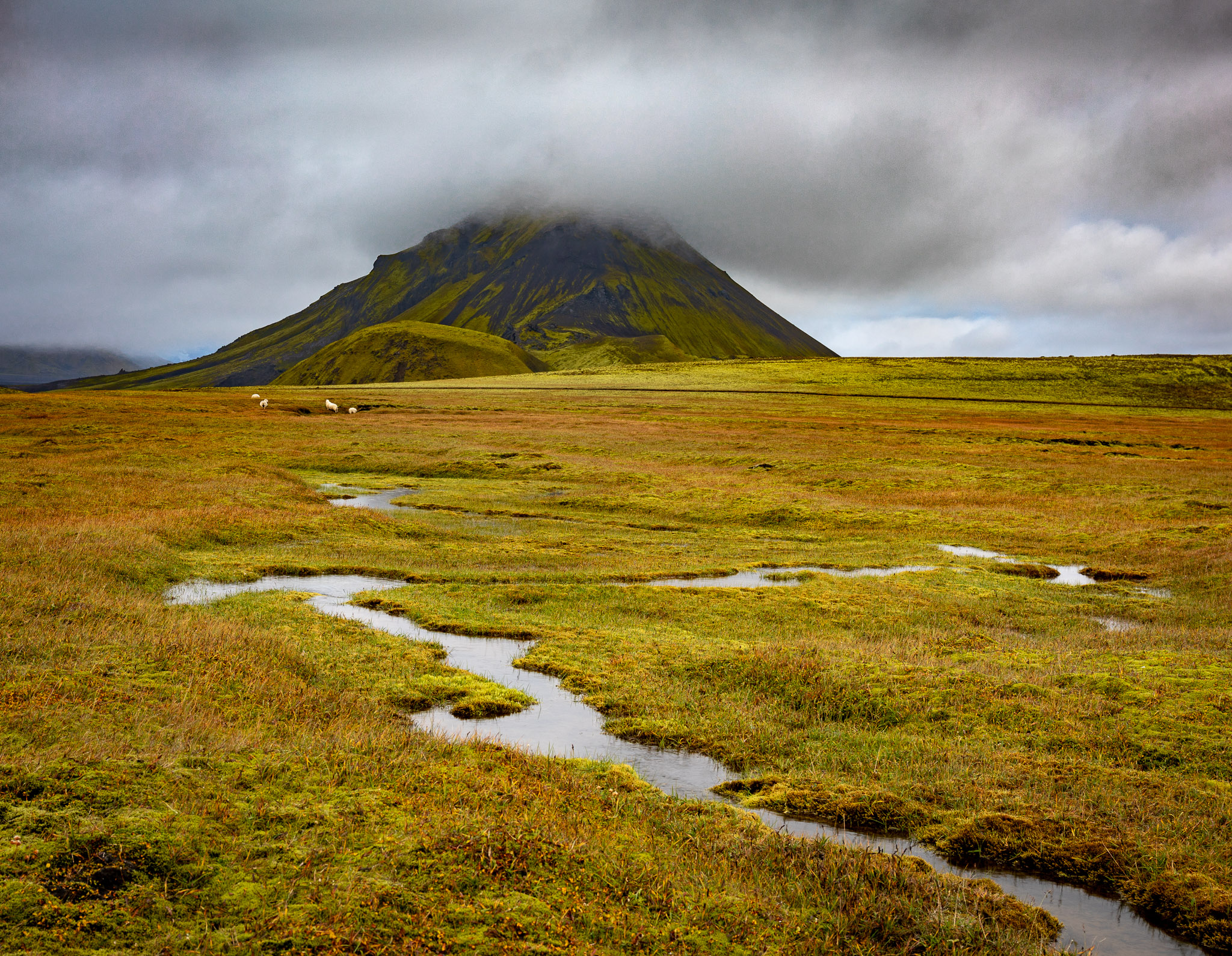 Útigönguhöfði View