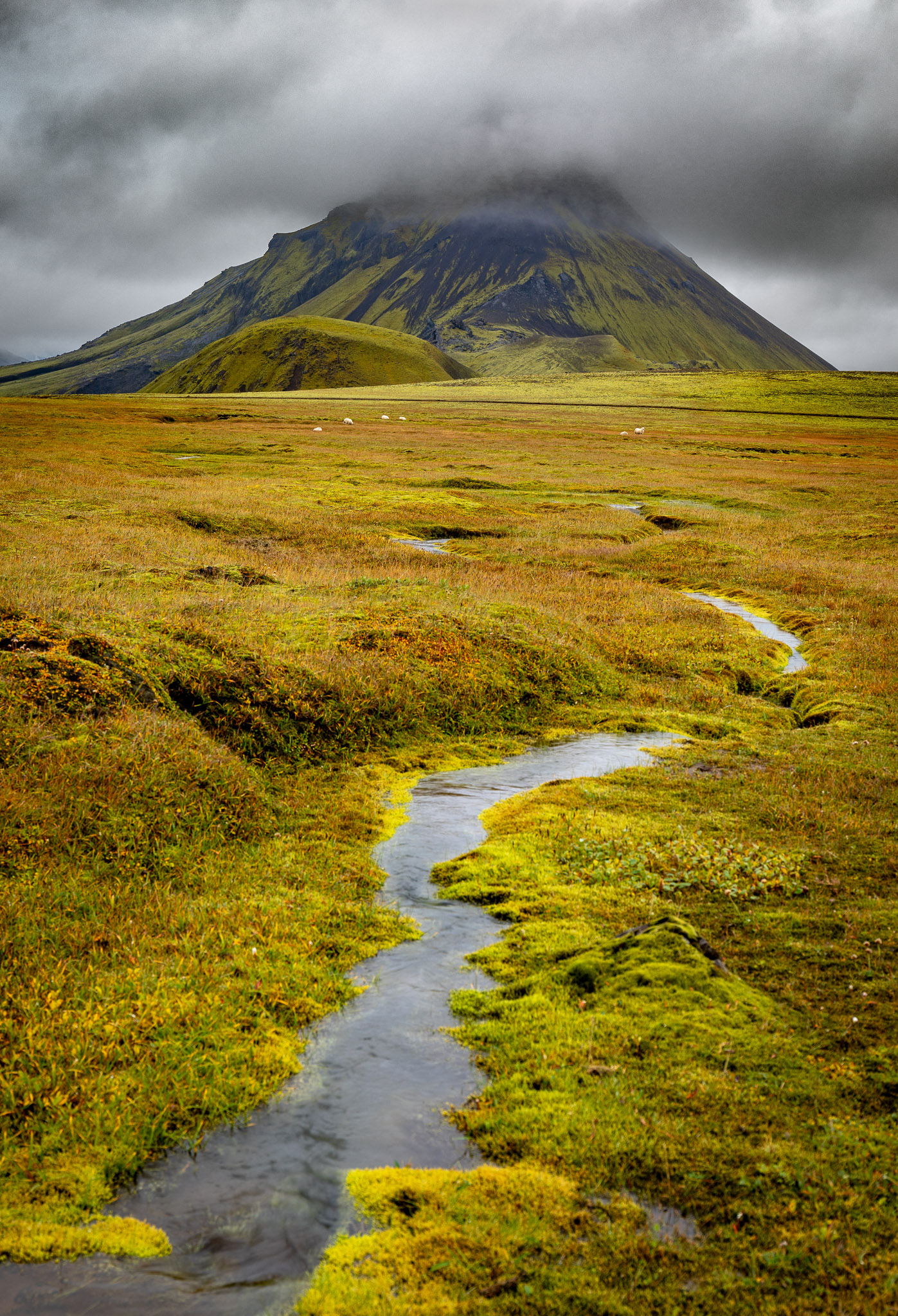 Útigönguhöfði View