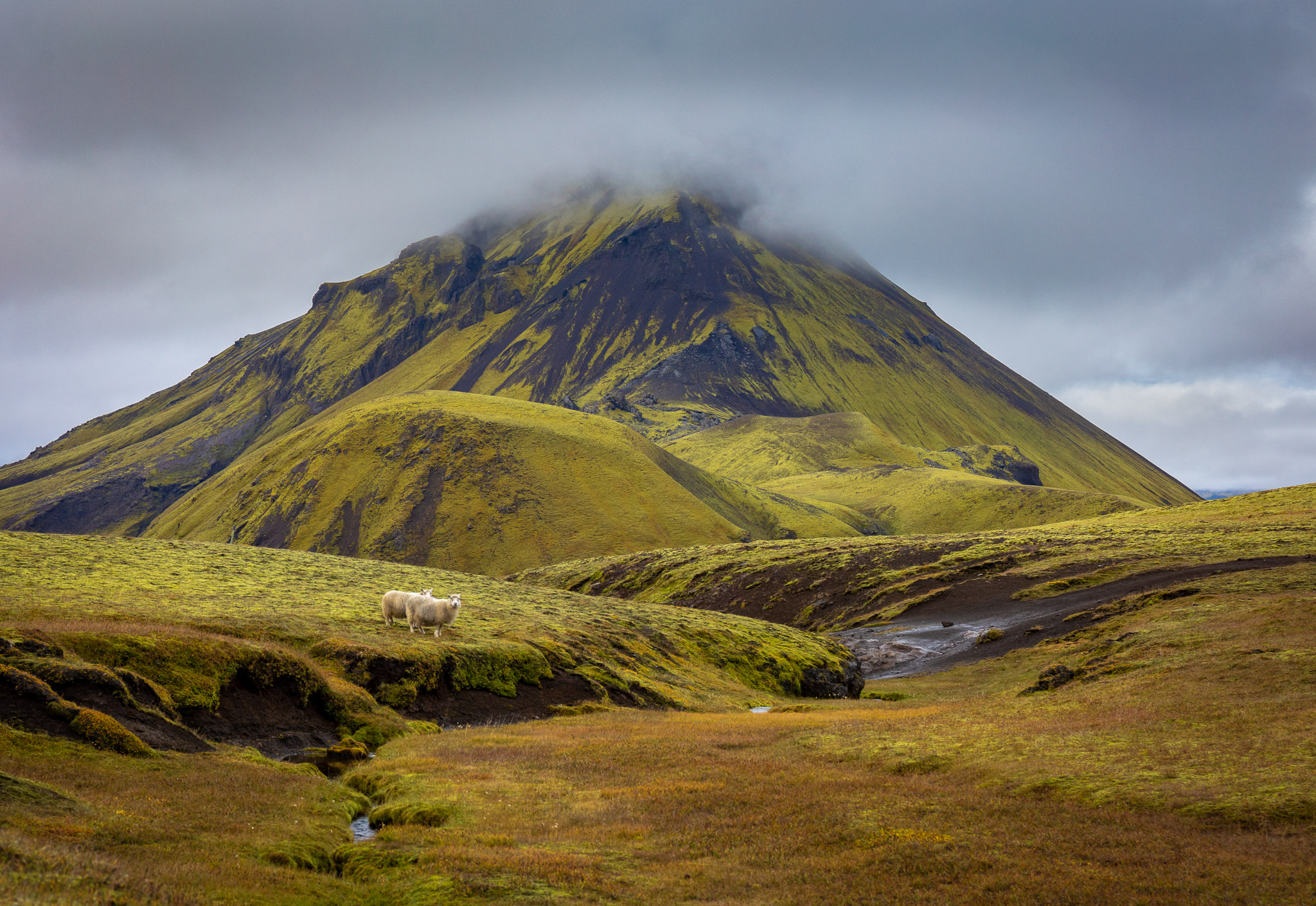 Útigönguhöfði View