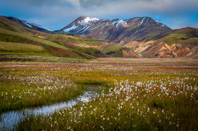 Landmannalaugar Meadow