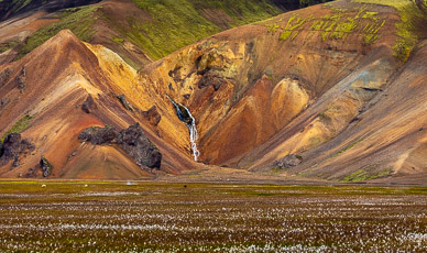 Landmannalaugar Meadow