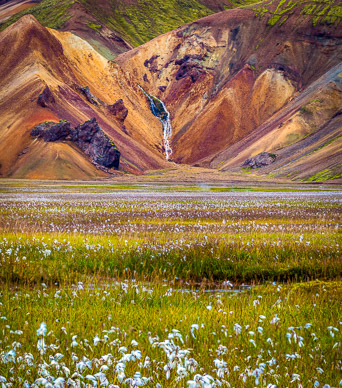 Landmannalaugar Meadow