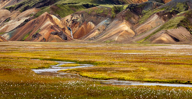 Landmannalaugar Meadow