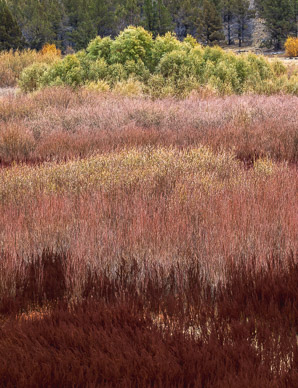 Prineville Reservoir Floor