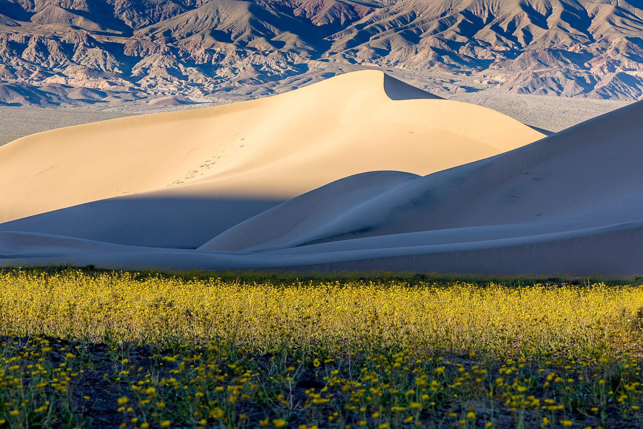 Ibex Dunes, Death Valley