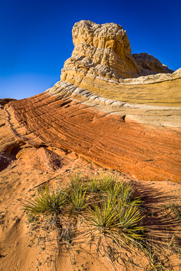 White Pocket, Vermilion Cliffs
