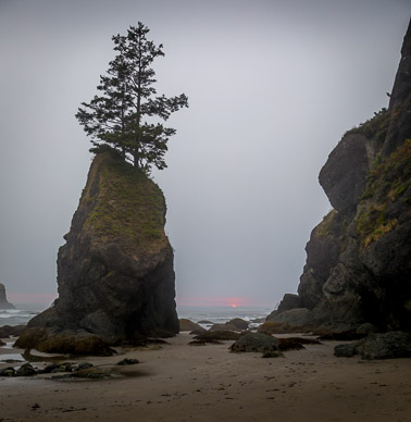 Shi Shi Beach, Olympic Peninsula