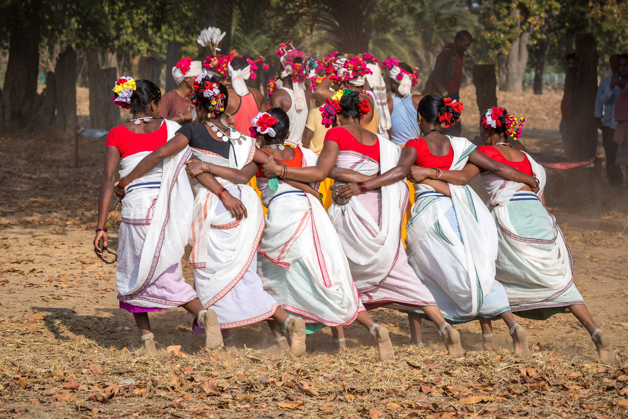Gonds Karma tribal dance (Antler Horn) in Muria
