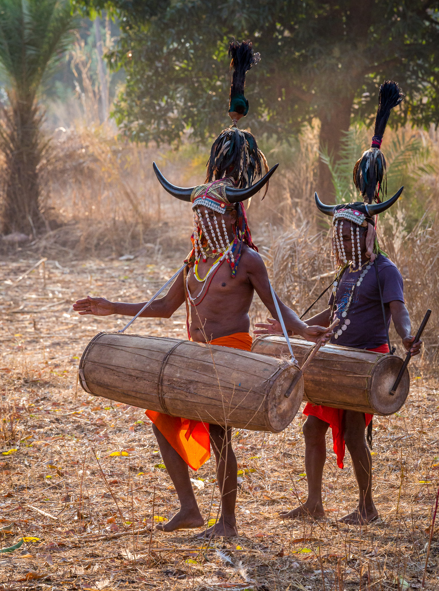 Gaur Maria (Bison Horn) tribal dance in Nainar