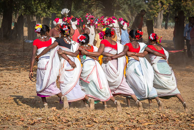 Gonds Karma tribal dance (Antler Horn) in Muria