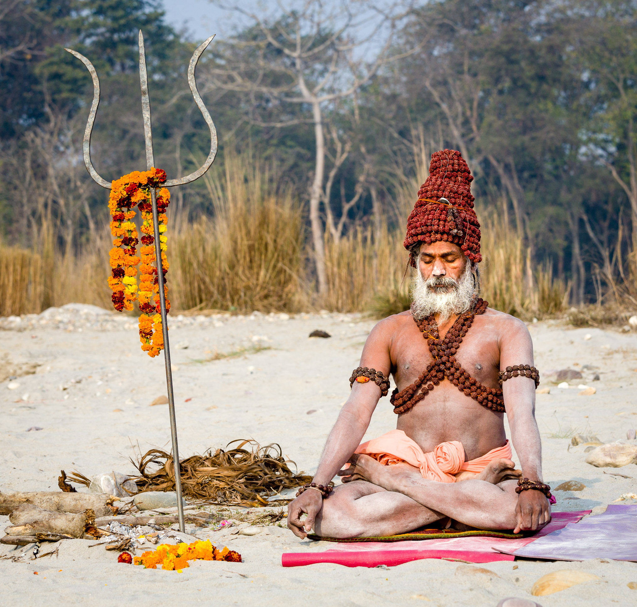 Yogi meditating