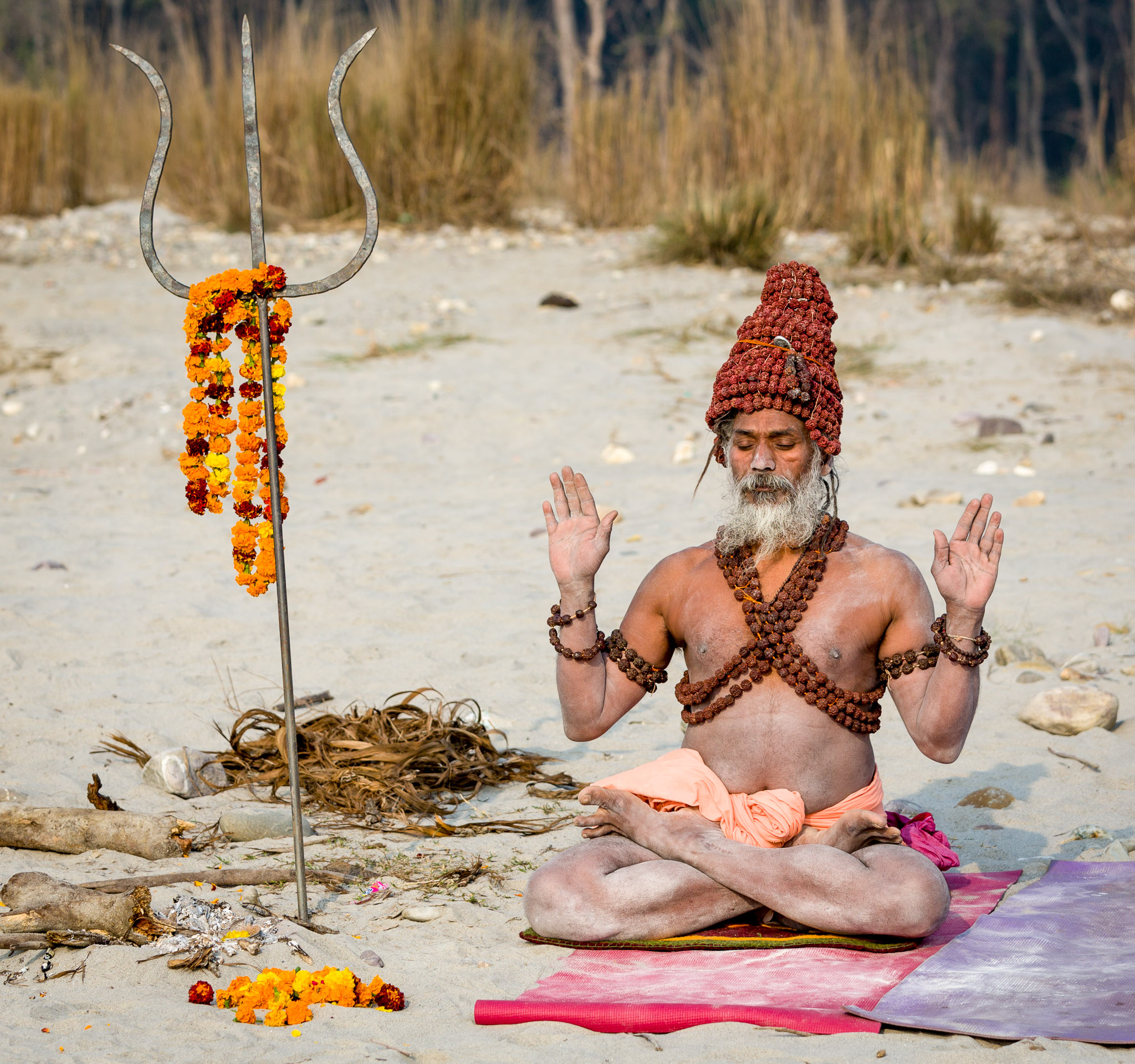 Yogi meditating